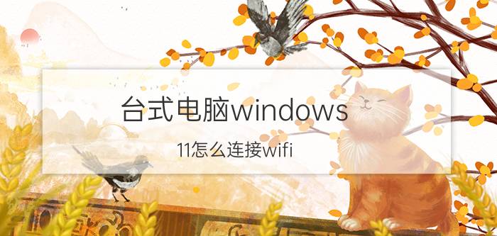 台式电脑windows 11怎么连接wifi